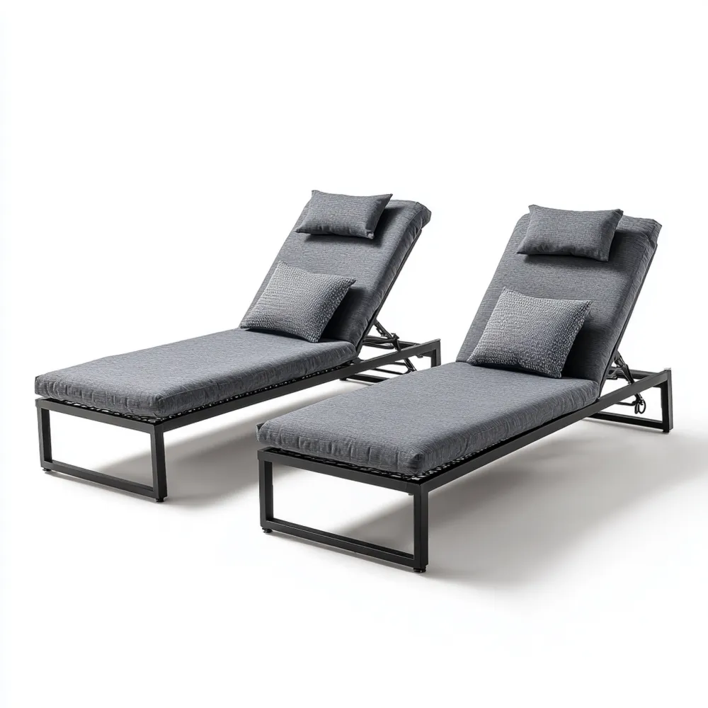 Ensemble de Transats de Jardin 190x65x30 cm – Gris Foncé – Design Moderne