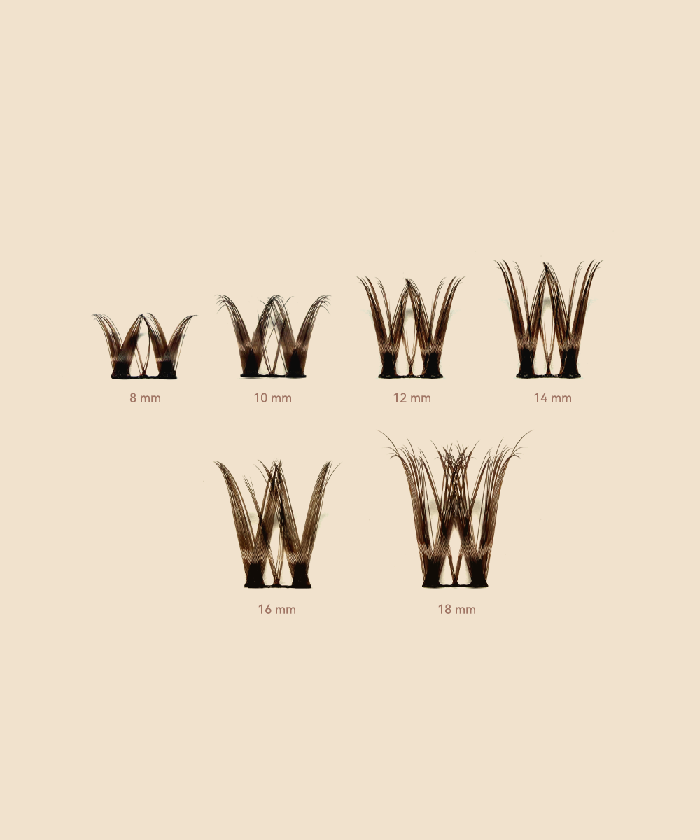 MAXCOMFI Aurora Dark Brown| SCULPTLASH™ Featherlight Winged Cluster Lash Kit