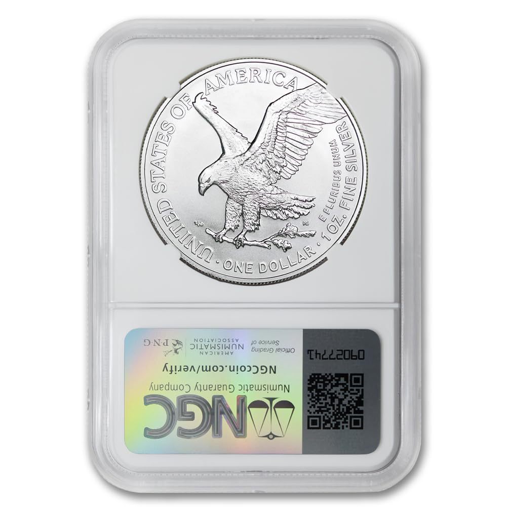 2024 U.S. EAGLE 1 OZ 99.9% SILVER 10-PIECE PROOF COINS