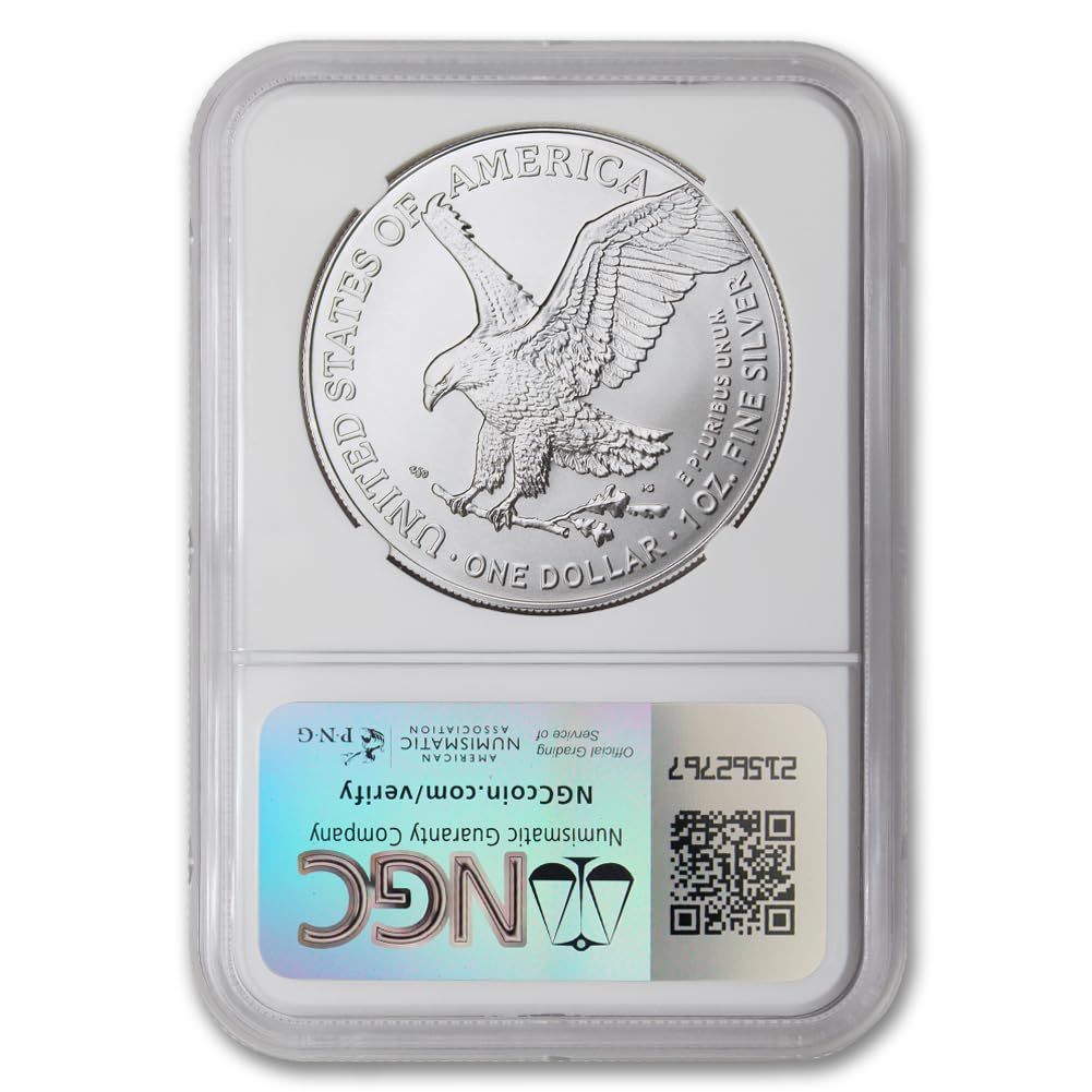 2025 U.S. EAGLE 1 OZ 99.9% SILVER 10-PIECE PROOF COINS