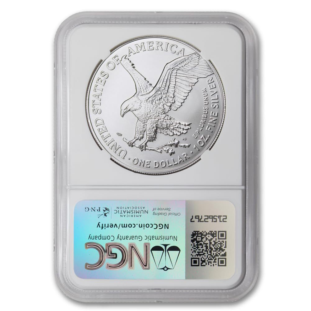 2025 U.S. EAGLE 1 OZ 99.9% SILVER 10-PIECE PROOF COINS