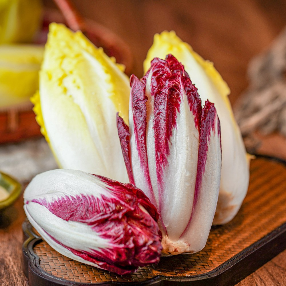 European Chicory Seeds