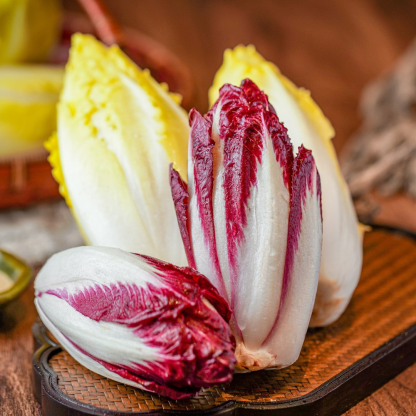 European Chicory Seeds