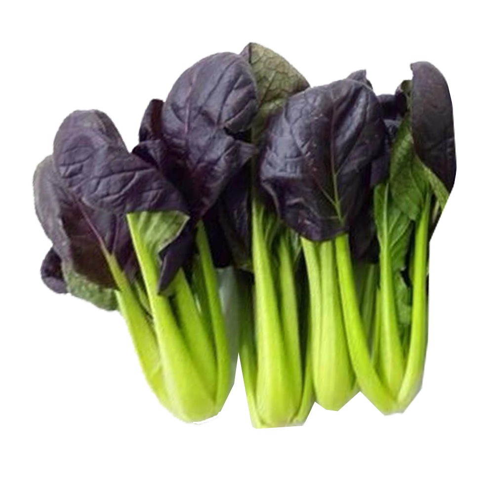 Purple Rape Brassica Seeds