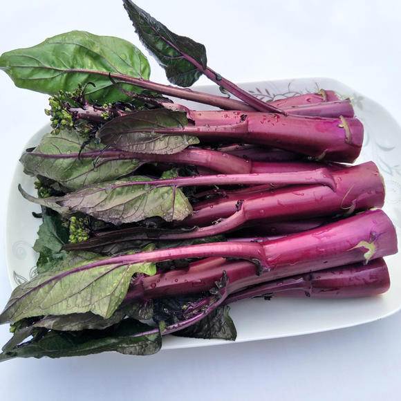 Beetroot Under The Snow Seeds