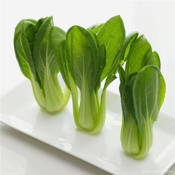 All year round 200pcs Chinese cabbage seeds