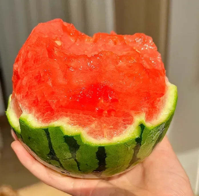 🍉 Organický skorý červený jantárový melón – sladký, zdravý a očarí celú rodinu!