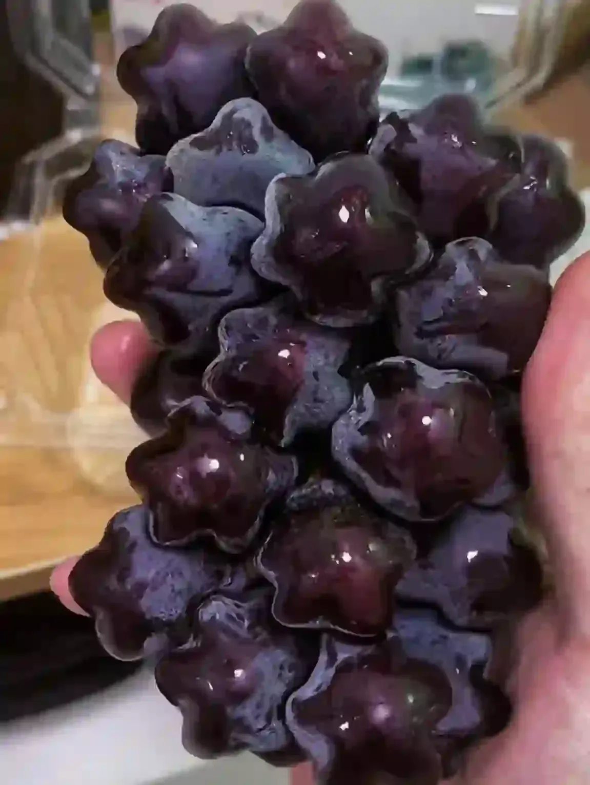 🎆Výpredaj🥂Jadierka hrozna Star🍇