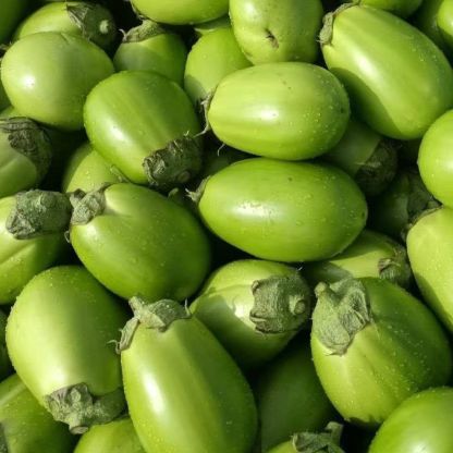 Green Can Eggplant Seeds