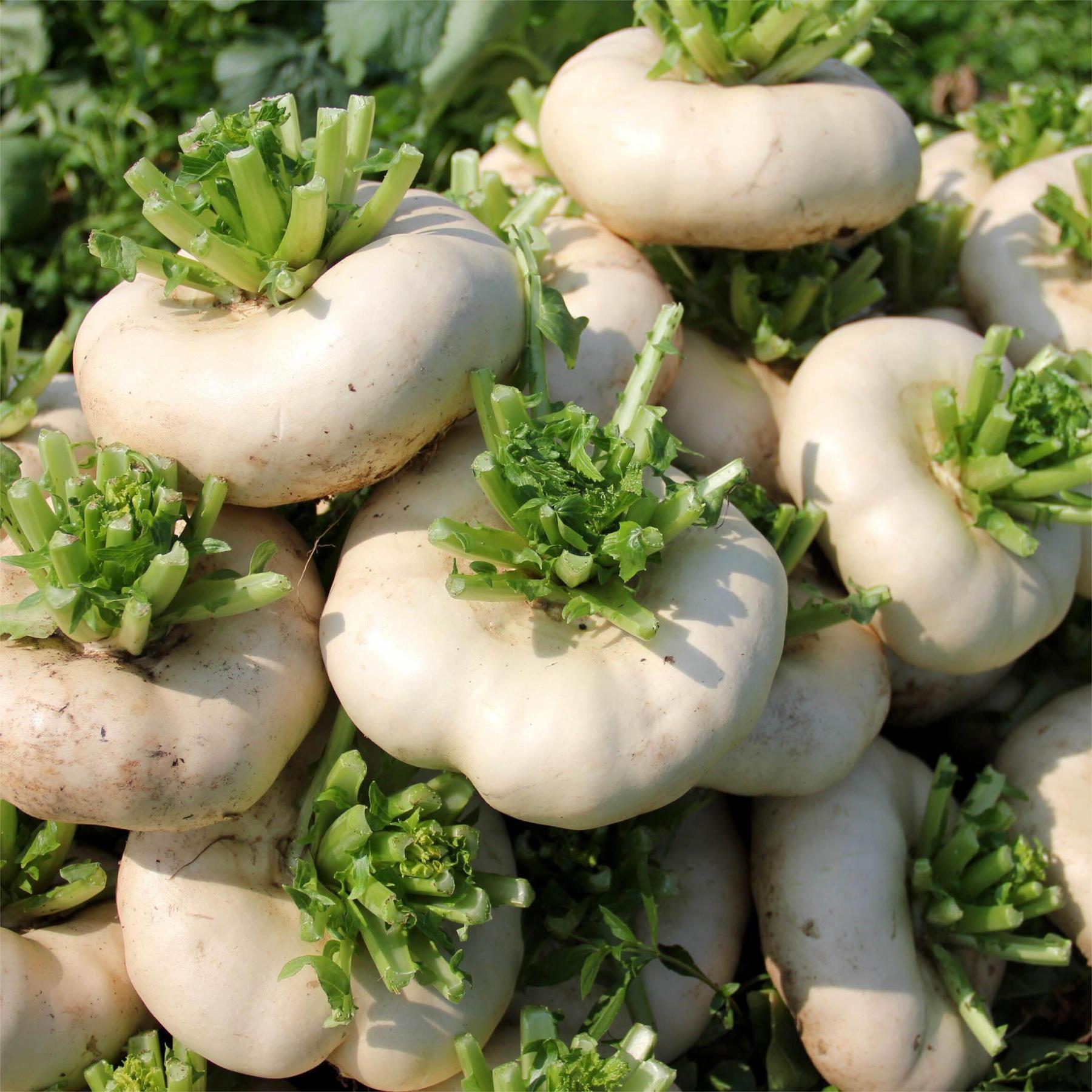 Jade Plate Vegetables Seeds