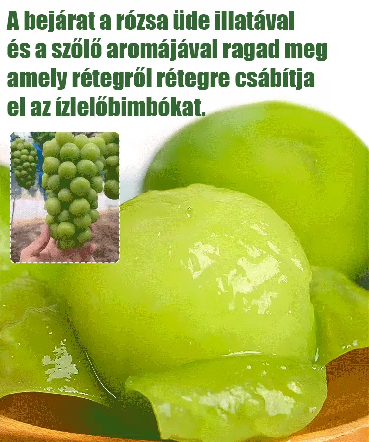 ☀️Sunshine rózsa magok🍇