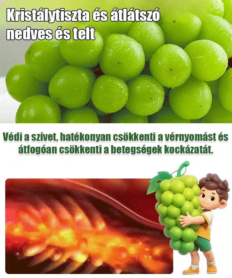 ☀️Sunshine rózsa magok🍇