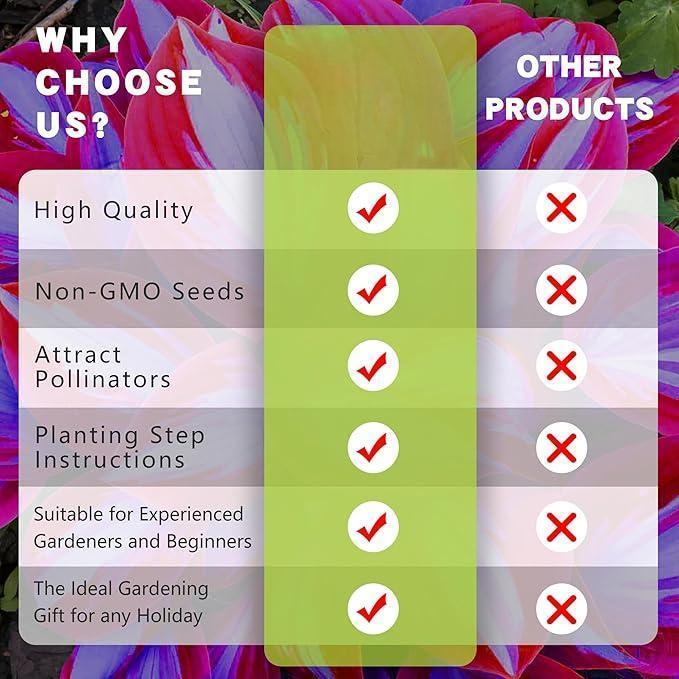 🌱Pillangócserje magok, egy gyönyörű évelő a könnyű kültéri kertészkedéshez🌿