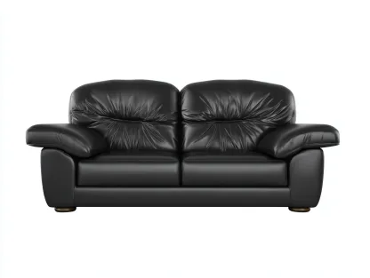 Canapé 2 places en cuir 190x95x90 cm - noir - salon - confort renforcé-Casagolab