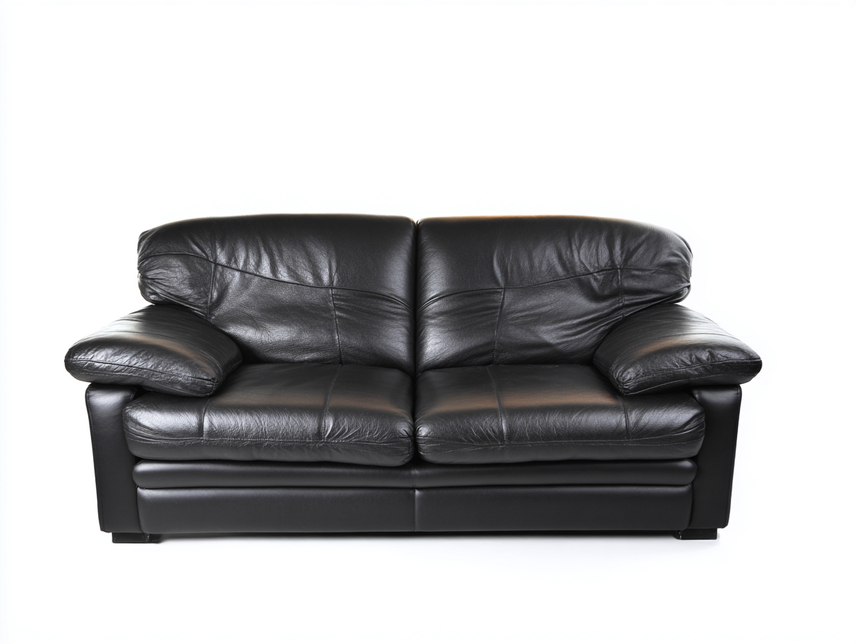 Canapé 2 places cuir 190x90x85 cm - noir - design classique-Casagolab