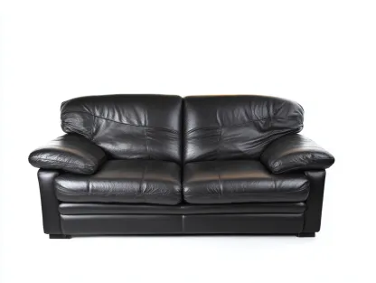 Canapé 2 places cuir 190x90x85 cm - noir - design classique-Casagolab