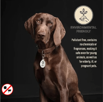 Ultrasonic Flea & Tick Repeller