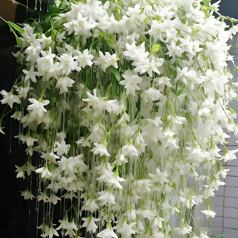 🏆 75K+ SOLD! 🌿❄️ Midnight Perfume Jasmine Seeds – Winter Planting, Perennial Blooms & Fragrant Garden Elegance 🌸