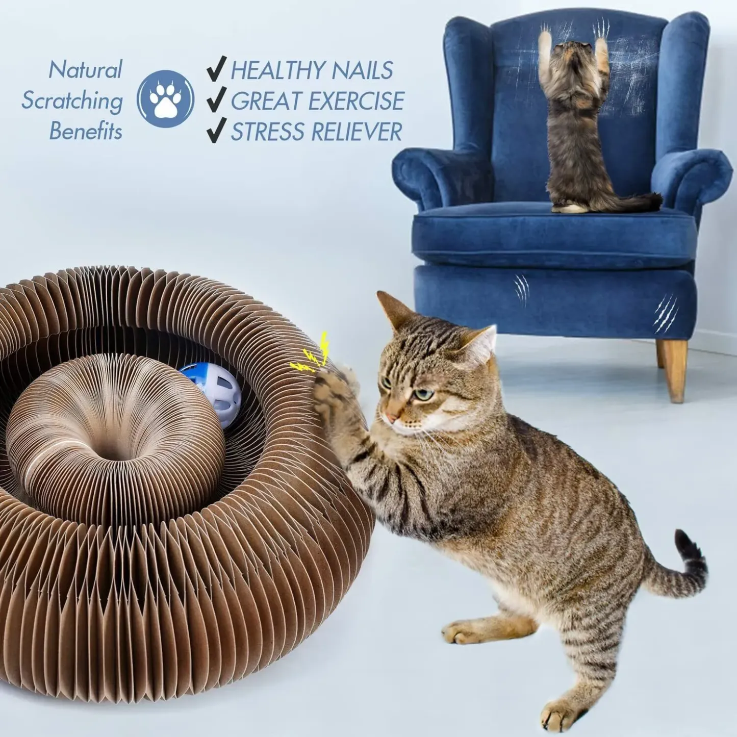 (Last Day Promotion 50% OFF!)-⚡ Magic Cat Scratching Board 🔥