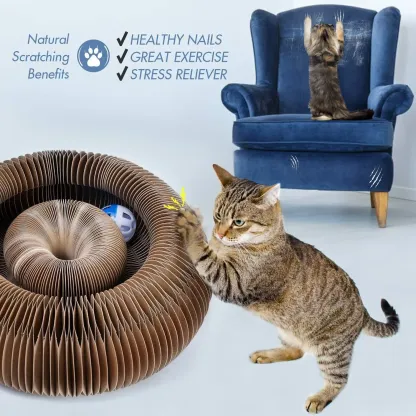 (Last Day Promotion 50% OFF!)-⚡ Magic Cat Scratching Board 🔥