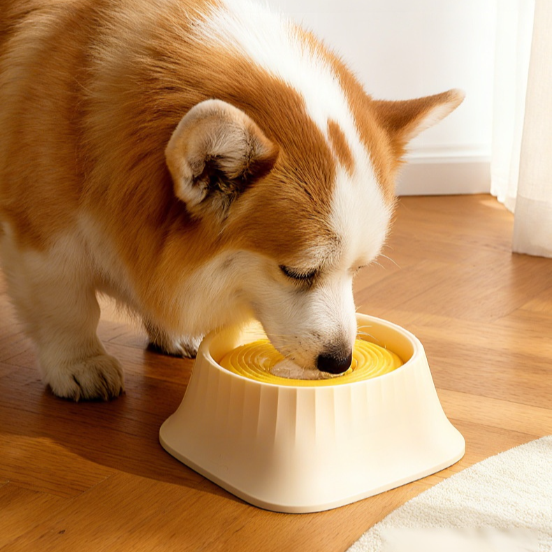 Pet slow food bowl