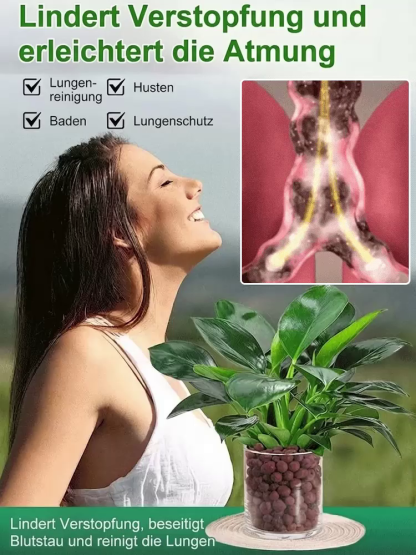 【💯 Natürlicher Luftreiniger! 💯】 Goldene Philodendron Pflanze 🌿 Filtert Formaldehyd & Allergene. 😴 Verbessert Schlaf durch Sauerstoffproduktion. 💧 Inkl. Auto-Bewässerungssystem, Schattenverträglich. 👍 Ideal für Raucher & Allergiker.
