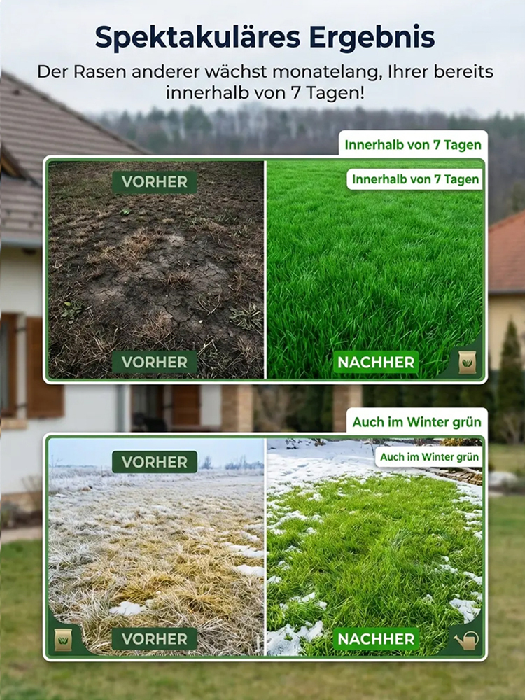 【💯 Schluss mit Rasenmähen! 💯】 Deutscher Zwerg-Rasensamen 🇩 Wächst nur bis 2,5 cm. 🌿 3 Tage Keimung, 7 Tage Vollfläche. 🛡️ 3 Tage Nicht-Gekeimt-Geld-zurück-Garantie