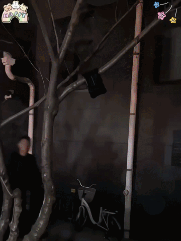 Wetterfeste Sensor-Solar-Klemmleuchte für Außenbereich