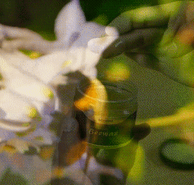 详情_12.gif