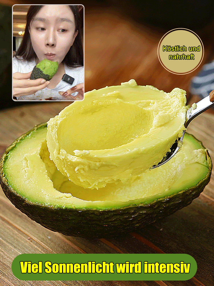 【Mexikanische Avocadosetzlinge🥑】Pflanzen und ernten in nur einer Saison❄️Extrem winterhart✨Faustgroß, cremig im Geschmack und vollgepackt mit Bio-Nährstoffen.