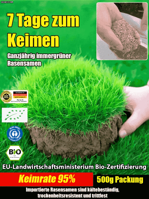 【7 Tage Keimung Rasen-Samen】99 % Keimrate🌳Ganzjährig sattes Grün❄️ Frost- & trockenresistent bis -20 °C 👍Wächst kräftig weiter, selbst unter dickem Schnee