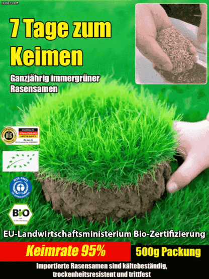 【7 Tage Keimung Rasen-Samen】99 % Keimrate🌳Ganzjährig sattes Grün❄️ Frost- & trockenresistent bis -20 °C 👍Wächst kräftig weiter, selbst unter dickem Schnee