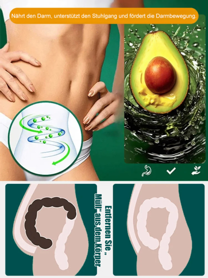 【Mexikanische Avocadosetzlinge🥑】Pflanzen und ernten in nur einer Saison❄️Extrem winterhart✨Faustgroß, cremig im Geschmack und vollgepackt mit Bio-Nährstoffen.