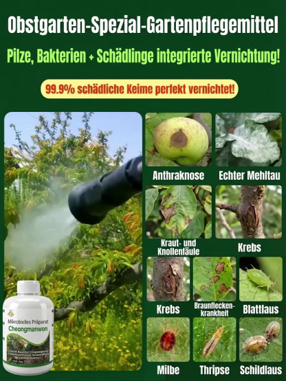 【Spezielles Mittel zur Reinigung von Obstbaumplantagen】✨Nur ein Tropfen genügt: Vollständige Vernichtung aller Schädlinge – mit einer Wirkung für ein ganzes Jahr!