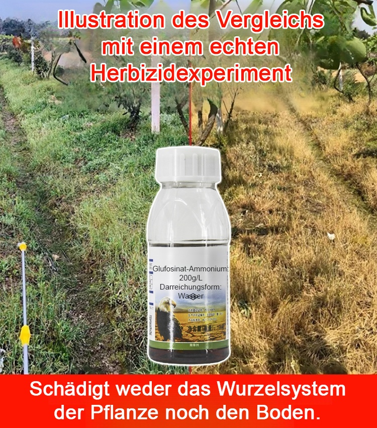 【Ihr Profi für hartnäckiges Unkraut】🌟Einmal sprühen, eine Saison lang Unkrautfrei👍Keine Bodenschäden, keine Rückstände – sofort neu bepflanzen