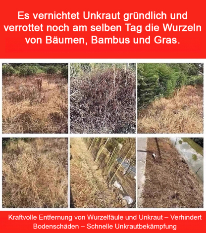 【Ihr Profi für hartnäckiges Unkraut】🌟Einmal sprühen, eine Saison lang Unkrautfrei👍Keine Bodenschäden, keine Rückstände – sofort neu bepflanzen