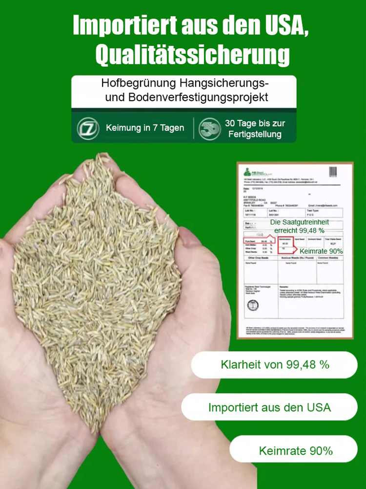 【7 Tage Keimung Rasen-Samen】99 % Keimrate🌳Ganzjährig sattes Grün❄️ Frost- & trockenresistent bis -20 °C 👍Wächst kräftig weiter, selbst unter dickem Schnee