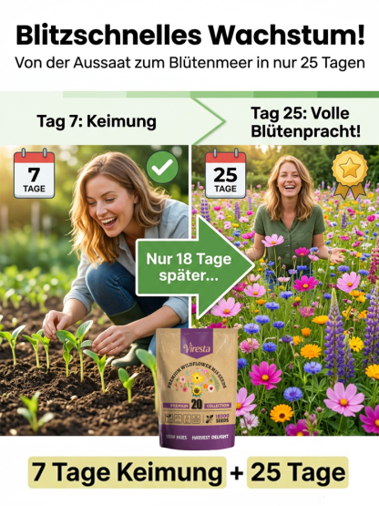 【Viresta Öko-Blumenmischung】🌺25 Tage bis zum Blütenmeer – 99% Keimgarantie für JEDEN Garten✨Einmal streuen, 300 Tage staunen: Profi-Blumenpracht ohne Aufwand.
