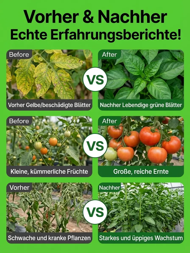 【Spezielles Mittel zur Reinigung von Obstbaumplantagen】✨Nur ein Tropfen genügt: Vollständige Vernichtung aller Schädlinge – mit einer Wirkung für ein ganzes Jahr!