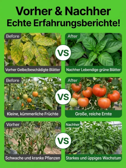 【Spezielles Mittel zur Reinigung von Obstbaumplantagen】✨Nur ein Tropfen genügt: Vollständige Vernichtung aller Schädlinge – mit einer Wirkung für ein ganzes Jahr!