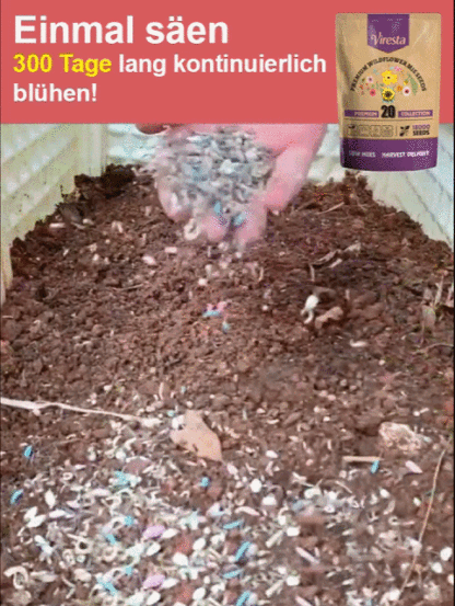 【Viresta Öko-Blumenmischung】🌺25 Tage bis zum Blütenmeer – 99% Keimgarantie für JEDEN Garten✨Einmal streuen, 300 Tage staunen: Profi-Blumenpracht ohne Aufwand.