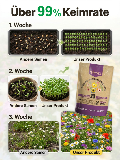 【Viresta Öko-Blumenmischung】🌺25 Tage bis zum Blütenmeer – 99% Keimgarantie für JEDEN Garten✨Einmal streuen, 300 Tage staunen: Profi-Blumenpracht ohne Aufwand.