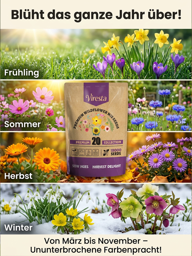【Viresta Öko-Blumenmischung】🌺25 Tage bis zum Blütenmeer – 99% Keimgarantie für JEDEN Garten✨Einmal streuen, 300 Tage staunen: Profi-Blumenpracht ohne Aufwand.