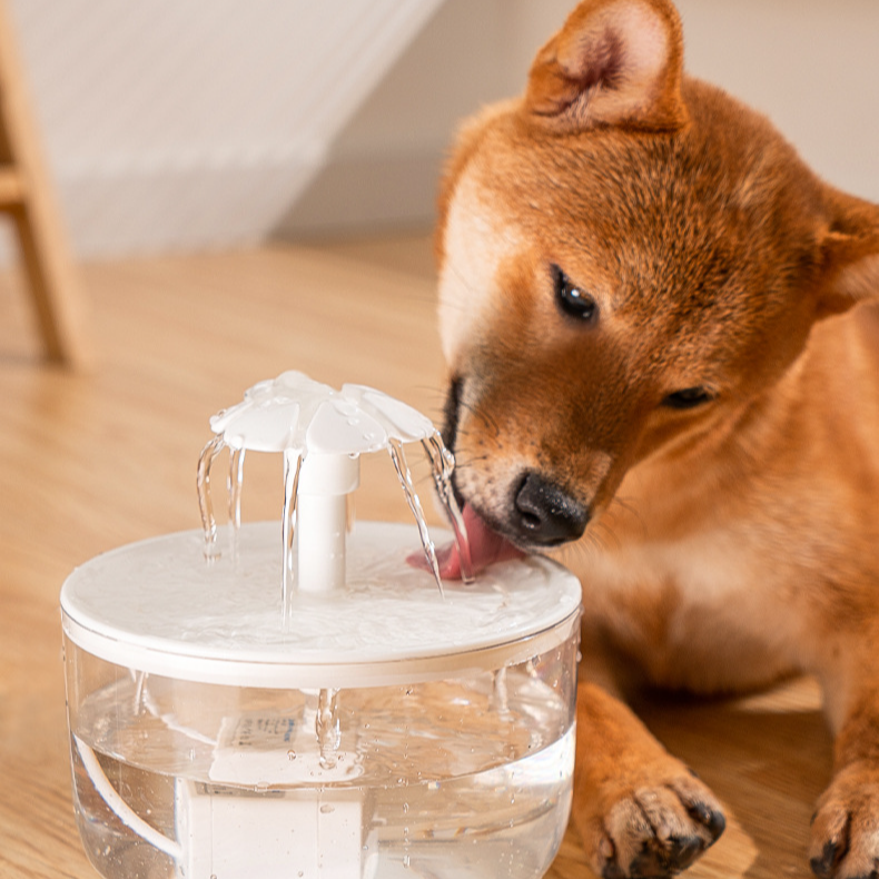 Intelligenter Katzenbrunnen