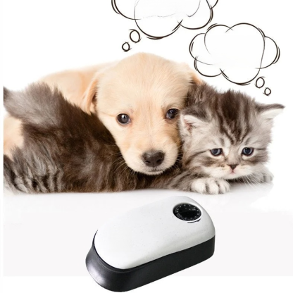 Smart feeder for dogs and cats
