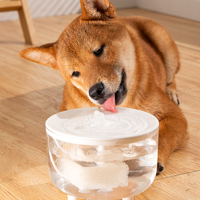 Intelligenter Katzenbrunnen