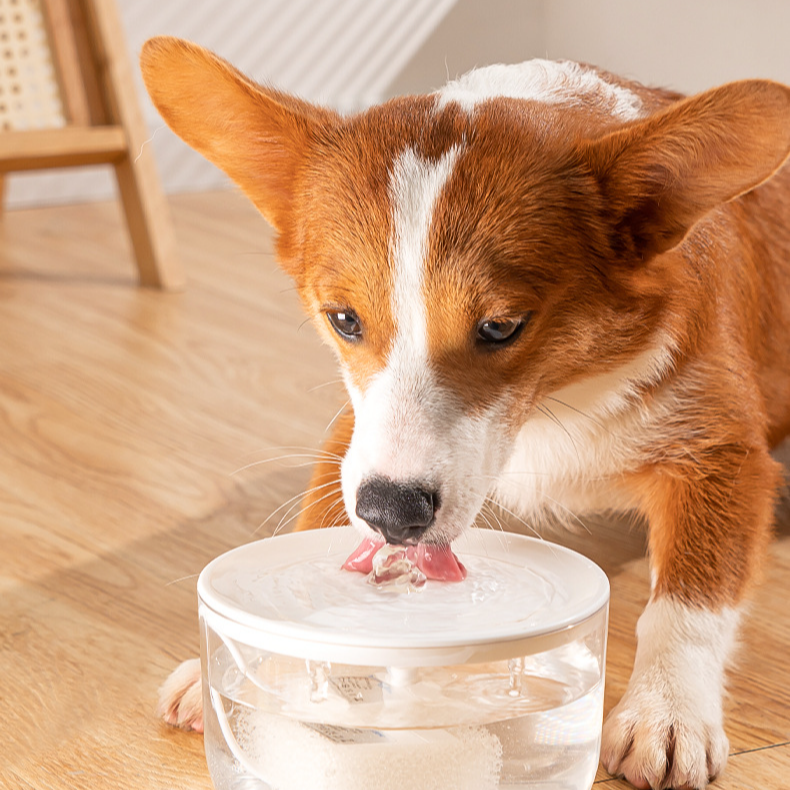 Intelligenter Katzenbrunnen