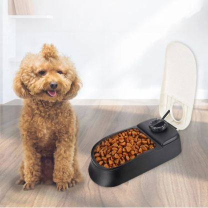 Smart feeder for dogs and cats