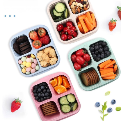 Snackbox mit einem Deckel und Fächern