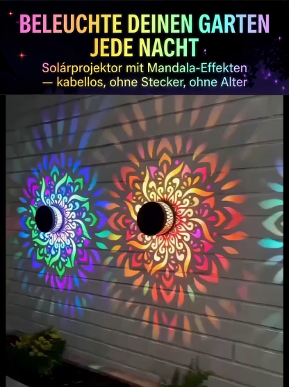 【100 Jahre Lebensdauer】Dandala Solar-Gartenleuchten – keine Installation erforderlich